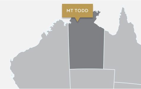 Mt Todd