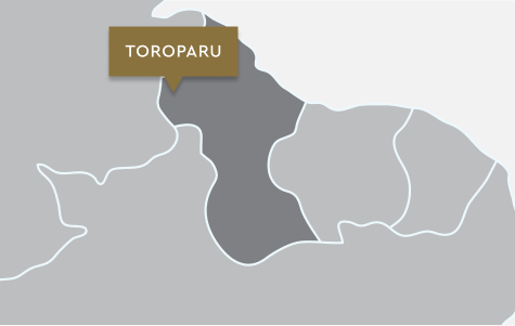 Toroparu