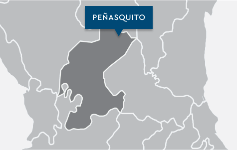 Peñasquito